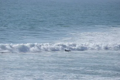 DSC_6918 (Large).JPG